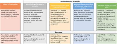 Approaches to demonstrating the effectiveness of filovirus vaccines: Lessons from Ebola and COVID-19